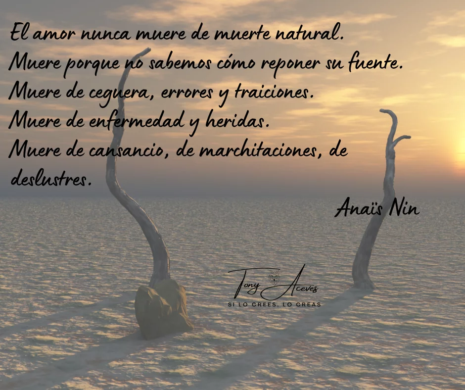 Imagen para El amor nunca muere de causas naturales
